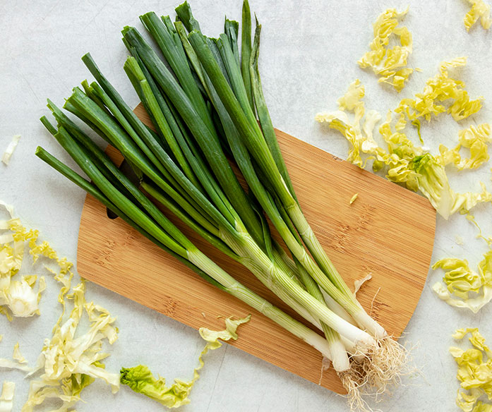 Why Choose Ambika Traders?